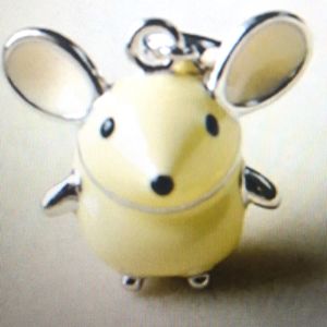 2022Charm Enamel mouse 🐁 Necklace Bracelet.